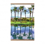 Пленочный обогреватель домашний очаг пальмы